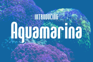 Aquamarina: A Designer’s Go-To Display Font for Bold Branding