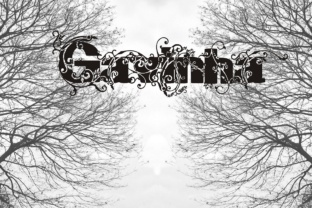 Gavinha: A Thoughtful Display Font for Elegant Editorial Design