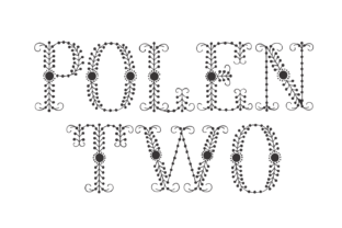 Polen Two: A Designer’s Take on Real-World Use