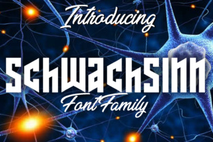Schwachsinn: A Gothic Display Font for Bold Branding
