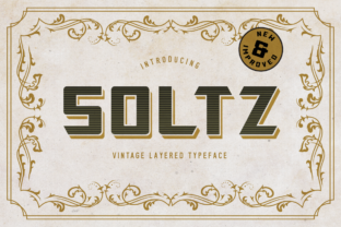 Soltz: A Vintage Display Font for Bold Campaigns