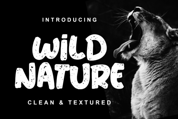 Wild Nature Font: A Bold Display Typeface for Web Design